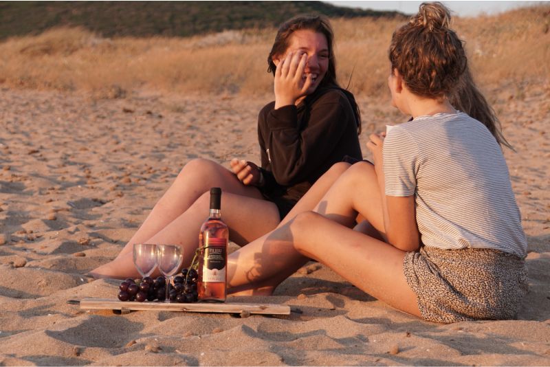 https://www.lalashops.nl/media/catalog/product/4/0/403985_onderzetter_52_cm_proost_dutch_mood.jpg
