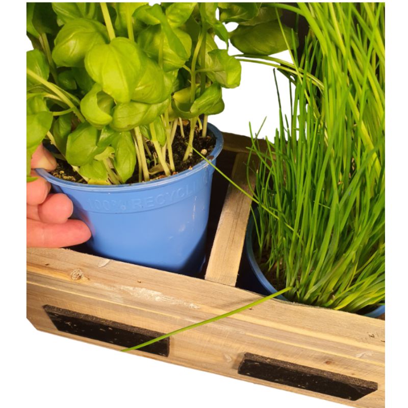 https://www.lalashops.nl/media/catalog/product/4/0/406163_plantenbak_voor_kruiden_44_detail_kruiden_dutch_mood.jpg