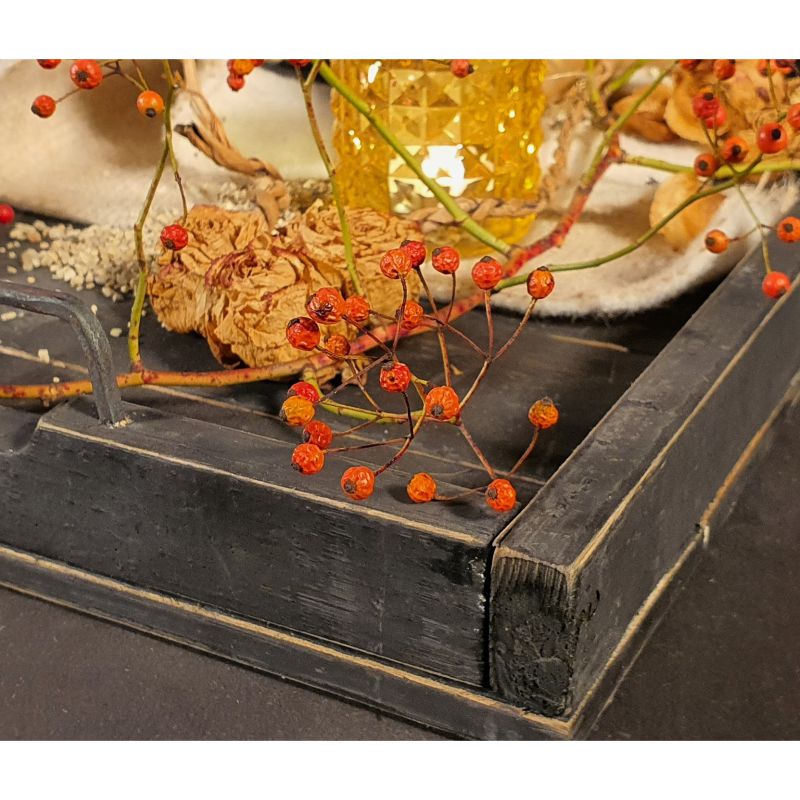 https://www.lalashops.nl/media/catalog/product/4/2/423531_tray_marianne_black_48_deco_dutch_mood.jpg