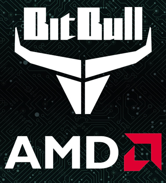https://www.lalashops.nl/media/catalog/product/b/i/bitbullamd.jpg