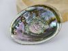 Abalone Schelp Groot - Palo santo hout of salie brander - Topkwaliteit - ca 14x11x3cm