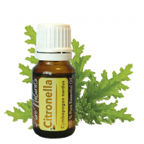 Pure Naturals Essentiële olie - Biologisch - Citronella - Flesje 10ml