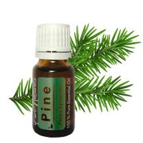 Essentiële Olie Aromatherapie - Biologisch - Pine (Dennen) - Flesje 10ml - Pure Naturals