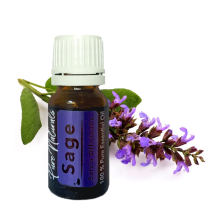 Essentiële Olie Aromatherapie - Biologisch - Sage (Salie) - Flesje 10ml - Pure Naturals