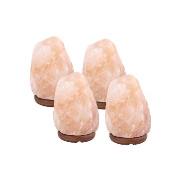 15% Korting! - 4 x Zoutlamp 2 tot 4kg - Himalayazout / Zoutsteen (Haliet) - ca. 22x12cm per stuk