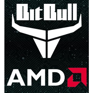 BitBull x AMD