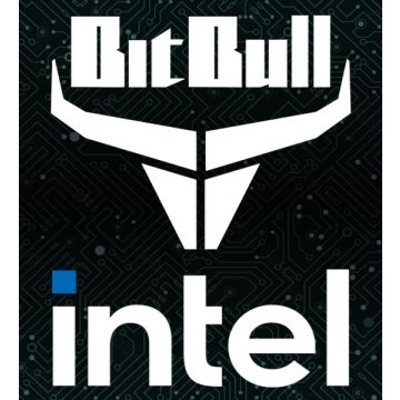 BitBull x Intel