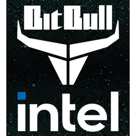 BitBull x Intel