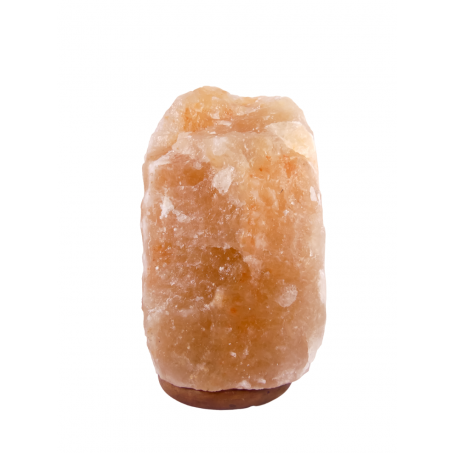 Zoutlamp 19,1kg - 100% Natuurlijk Himalaya Zout - Extra Lange Kabel 1,8mtr met Lampje - ca. 38x22cm - Individueel Gefotografeerd