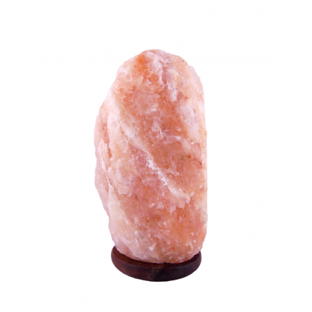 Zoutlamp 24,2kg - 100% Natuurlijk Himalaya Zout - Extra Lange Kabel 1,8mtr met Lampje - ca. 42x24cm - Individueel Gefotografeerd