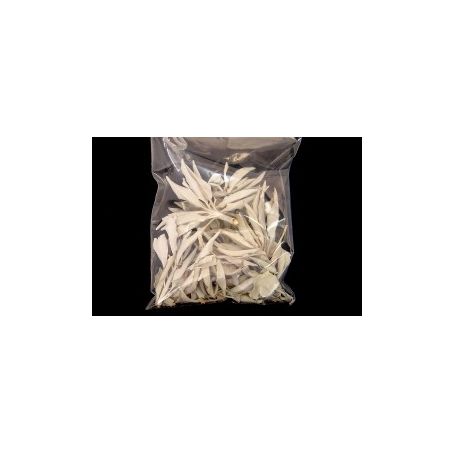 Witte Salie / White Sage - zakje 50gr