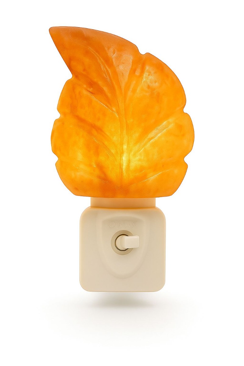https://www.lalashops.nl/media/catalog/product/n/a/nachtlampje_blad_zoutlamp.jpg