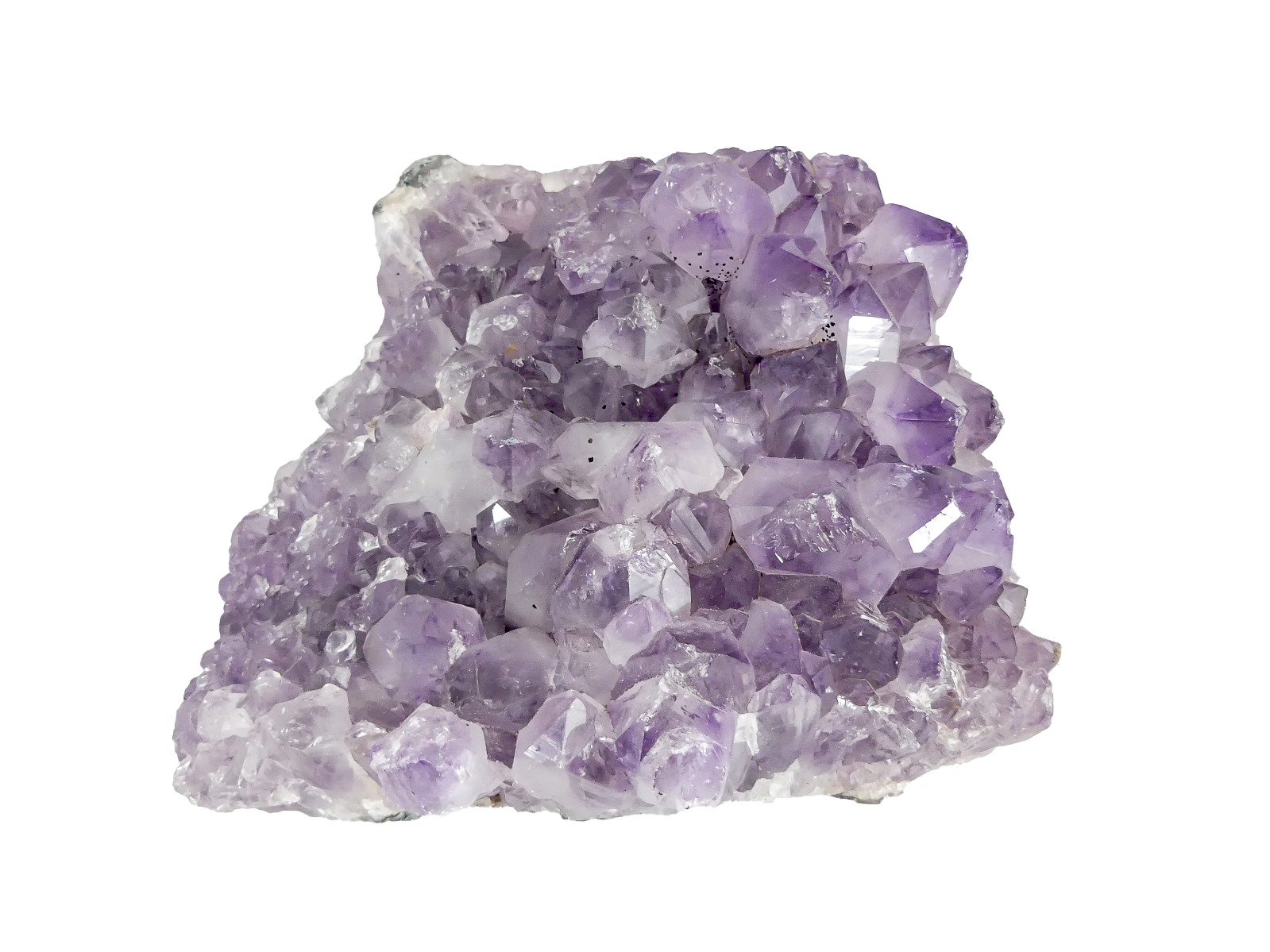 https://www.lalashops.nl/media/catalog/product/p/1/p1040459.jpg
